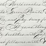 Spencerian sketch template