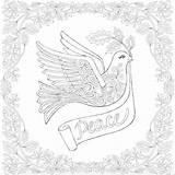 Coloring Pages Peace Dove sketch template