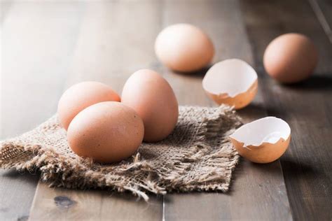 Müssen Frische Eier In Den Kühlschrank Fit For Fun Wissen
