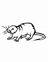 Rat Coloring Pages Printable Popular Library Clipart Books Coloringhome sketch template