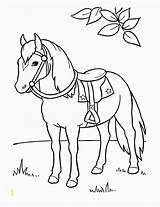 Horse Dressage sketch template