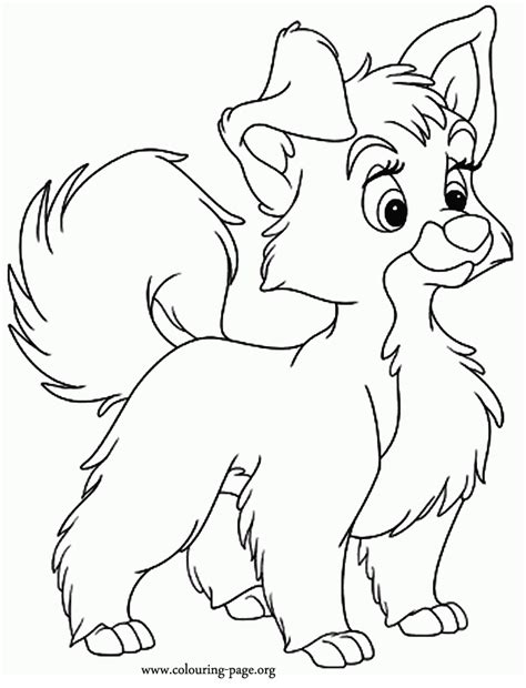 kitten  puppy coloring page coloring home