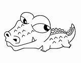 Crocodile Coloring Cocodrilo Para Colorear Dibujos Dibujo Little Animales Pages Crocodiles Bebe Coloringcrew Cocodrilos Pequeño Drawings sketch template