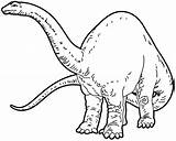 Coloring Apatosaurus Pages Female Color sketch template