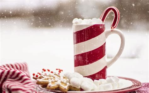 facts  christmas  coffee nordeast coffee company