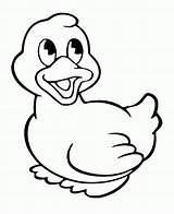 Duck Coloring Pages Hunting Library Colouring Kids sketch template