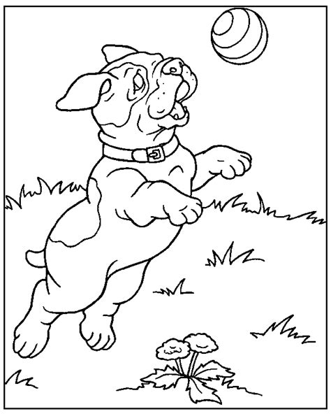 dog coloring pages books    printable