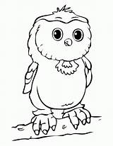 Owl Coloring Baby Branch Pages Printable Owls Kids Color Cute Sheets Book sketch template