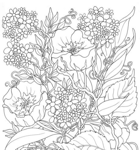 printable summer coloring pages  adults everfreecoloringcom