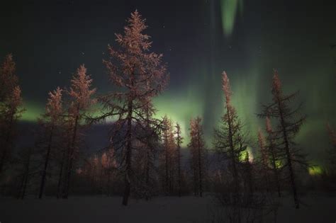 the magic of the russian north polar lights near novy
