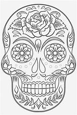 Muertos Pngkey Skulls Suger sketch template