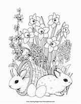 Easter Primarygames Bunnies Ostern Erwachsene Stampare Malvorlagen Erwachsenen Viatico Paques Basteln sketch template