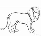 Lion Coloring Pages African Printable Kids sketch template