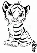 Coloring Pages Tiger Baby sketch template