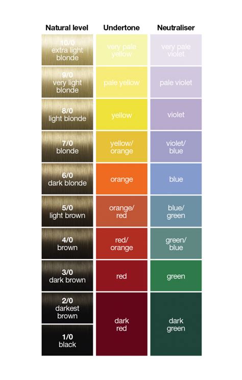 Hair Color Correction Chart
