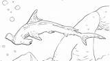 Shark Coloring Pages Thresher Realistic Hammerhead Getcolorings Getdrawings Col Colorings sketch template