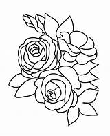 Coloring Rose Pages Roses Flower Sketch Three Color Drawing Pretty Leaves Bud Buttercup Leaf Drawings Printable Print Kids Pencil Getdrawings sketch template