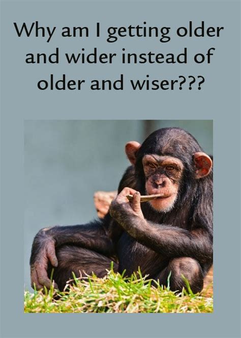 humorous quotes about getting old quotesgram