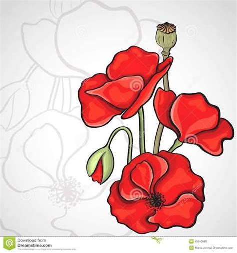 poppy plant template google search   poppy drawing poppies
