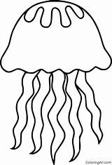 Jellyfish Print Coloringall sketch template