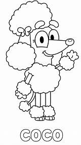 Bluey Coco Colouring Poodle Sheet Chloe Parties Rusty Xcolorings sketch template