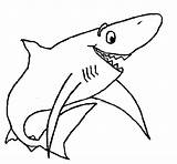Shark Happy Coloring Template Animals Pages Colouring Book Animal sketch template