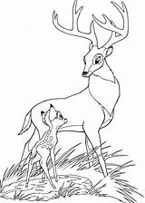 Bambi Coloring Pages Forest Prince Great Disney Colour Colorir Drawing Book Cartoon Pintar Sheets Coloriage Para Colorear Printable Drawings Kids sketch template