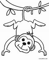 Affe Cool2bkids Monkeys Kleurplaten Kleurplaat Dieren Aap Apen Manatee Ausdrucken Swinging Tree Aapje sketch template