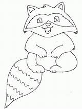 Coloring Raccoon Baby Laugh Netart Library Print Popular Color Coloringhome sketch template