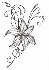 Larkspur Drawing Flower Getdrawings Tattoos sketch template