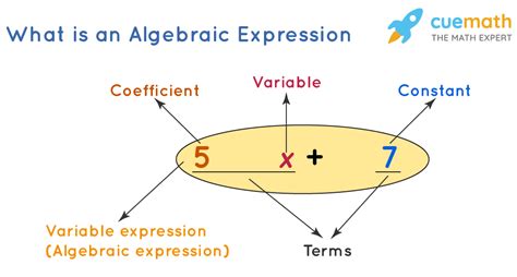 algebraic expressions formulas simplifying evaluating