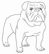 Waiting Master Boxer Dog Coloring Pages His sketch template
