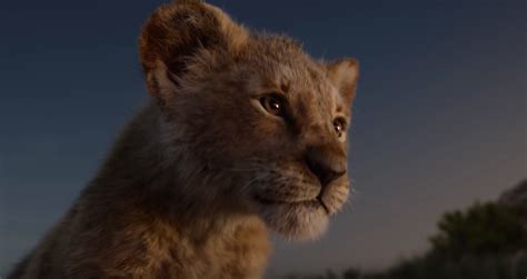 Watch The First Full Trailer For The Live Action Remake Of The Lion