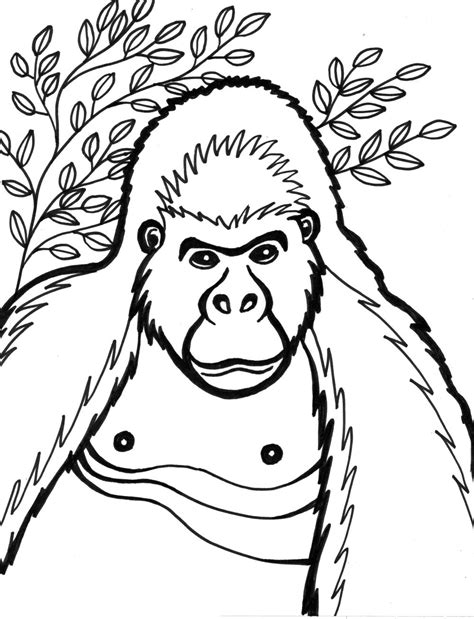 gorilla coloring pages  kids