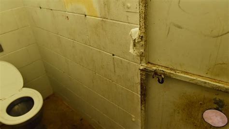 glory holes make resurgence in darwin public bathrooms costing