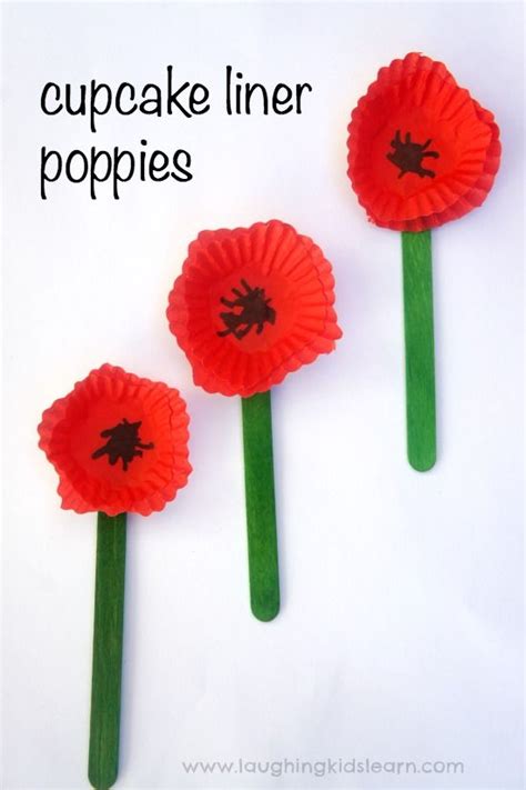poppy displays images  pinterest poppies remembrance day