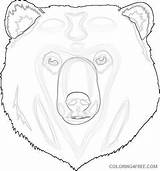 Bear Coloring Face Coloring4free Related Posts sketch template