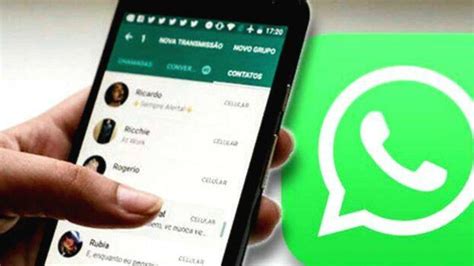 whatsapp   introduce display pictures  group chats reports
