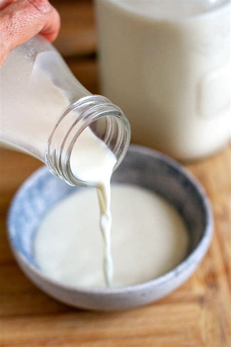 homemade dairy  milk vegan mylk