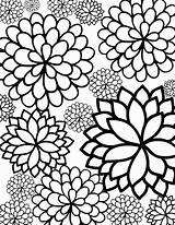 Coloring Chrysanthemum sketch template