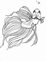 Betta Fish Coloring Drawing Tattoo Pages Drawings Fighting Outline Beta Great Siamese Would Make Stencil Deviantart Line Peixe Color Template sketch template