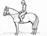 Coloring Pages Ausmalbilder Pferde Dressage Mit Reiterin Horse Pferd Zum Ausmalbild Ausdrucken Kostenlos Rider Getcolorings Saddle English sketch template