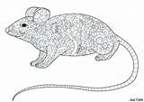 Souris Topi Colorare Disegni Coloring Adulti Motifs Queue Justcolor Mouses Longue Fleuris Corps Mice sketch template