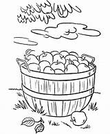 Coloring Pages Thanksgiving Apple Sheets Harvest Orchard Apples Dinner Color Fall Printable Activity Colouring Basket Rabbit Food Bible Foods Picking sketch template