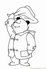 Paddington Bear Pages Coloring Print Colouring Printable Kids Sheets Popular Sketch Do Choose Board Christmas Discover sketch template