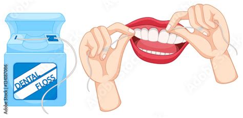 dental floss and how to use it stock image and royalty free vector