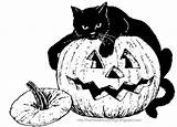 Coloring Halloween Pages Printable Cat Adults Pumpkin Print Scary Adult Sheets Pumpkins Kids Books Colouring Color Cats Colorings Colour Book sketch template