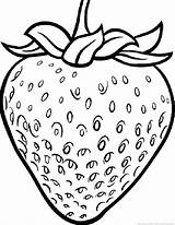 Strawberry Coloring Pages Printable Getcolorings sketch template