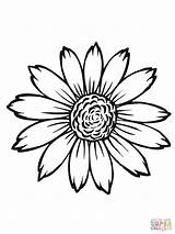 Sunflower Sunflowers Drawing Coloring Pages Simple Flower Template Printable Head Color Van Gogh Para Sketch Drawings Girasoles Dibujo Flowers Clipart sketch template
