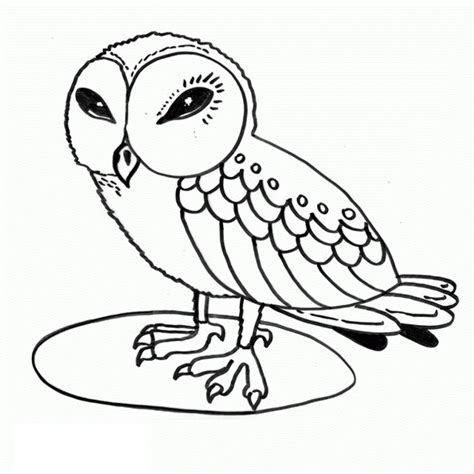 owl coloring pages printable modern creative ideas